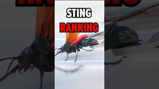 STUNG by Tarantula Hawk [upl. by Agathy]