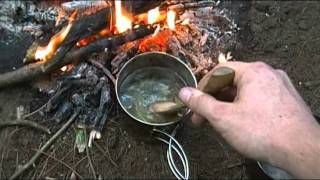 Foraging Edible Plants  Blueberry Leaf Tea  Wild Food [upl. by Turtle]