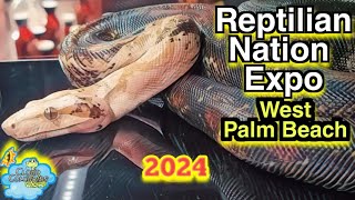 Reptilian Nation Expo 2024 West Palm Beach Full Walkthrough Largest Reptile Show in town [upl. by Jamesy]