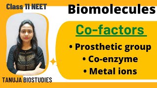 Biomolecules  Cofactors  Prosthetic group  Coenzyme  Metal ions  Class 11 biologyNEETAIIMS [upl. by Anilad231]