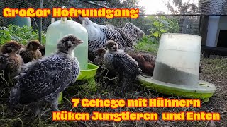 Seltene Hühner und Enten  Rundgang auf unserem Hof [upl. by Kynan]