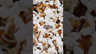 Why Some Popcorn Kernels Don’t Pop 🍿 PopcornScience funfacts [upl. by Rochester387]