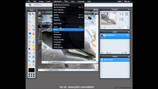 Pixlrcom  Negative Image to Positive [upl. by Dorri]