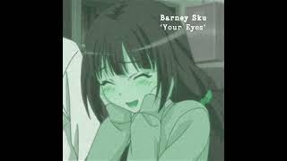 Barney Sku  Your Eyes English Version  Official Audio [upl. by Kcirneh]