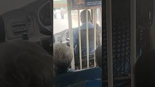 Government bus driver🙄🙄phone pesite driving 👌👌subscribe [upl. by Axel]