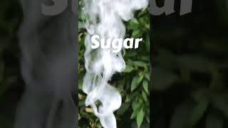 Potassium Chlorate and Sugar Reaction  Explosive Chemical Experiment [upl. by Yran835]