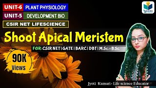 SHOOT APICAL MERISTEM SAM  CSIR NET  PLANT BIOLOGY [upl. by Audwen328]