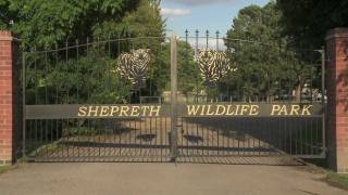 Welcome to Shepreth Wildlife Park [upl. by Maisie]