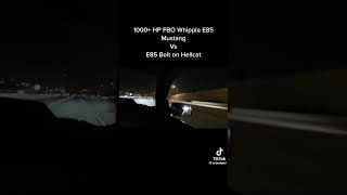 1000 HP FBO MUSTANG VS HELLCAT trending srt viral shorts srtpowered mustang mustwatch [upl. by Dygal4]