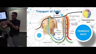 APOE APOE4 Cholesterol LDL amp Insulin Resistance  links to heart disease amp dementia [upl. by Llahsram]