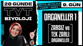 9 Organeller 1  9 Sınıf Biyoloji  2024 TYT Biyoloji Kampı 9 Gün [upl. by Nallek]