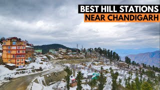 Best Hill Station near Chandigarh  Places to Visit near Chandigarh [upl. by Notsnarc]