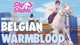 Buying ALL of the Belgian Warmbloods  Star Stable Online [upl. by Notsle]