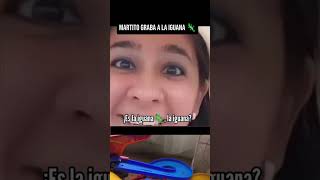 La lagartija 🦎 parati shortvideo viralvideo youtubeshorts [upl. by Darleen494]