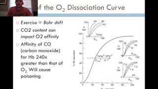 Diffusion and Transport of Blood Gases [upl. by Desimone756]