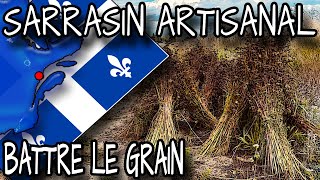 Sarrasin artisanal  Battre le grain [upl. by Garlen]