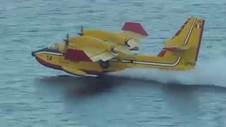 Canadair in azione a Palermo [upl. by Ahsyla]