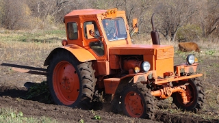 Tractor T40AM plowing the garden  Трактор Т40АМ вспашка огорода [upl. by Anaili]