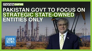 Pakistan Govt to Focus on Strategic StateOwned Entities  Dawn News English [upl. by Kevina]