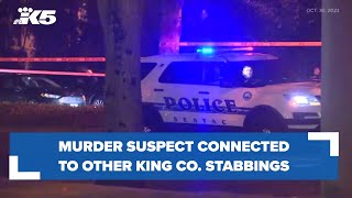 Murder suspect connected to other stabbings [upl. by Amoakuh]