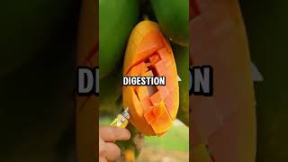 Fun facts about foods healthy health nutrition food healthyfood healthtips healthylifestyle [upl. by Daggna]