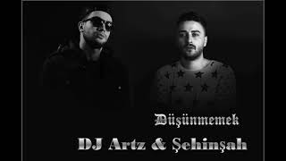 DJ Artz amp Şehinşah  Düşünmemek Lyrics [upl. by Tlaw209]