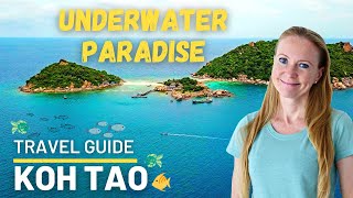 Koh Tao Thailand ultimate travel guide 🐠🌴😊 [upl. by Notyad]