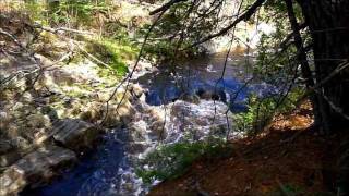 Spring Little Sturgeon River Meadowside Ontario Canada [upl. by Daveen]