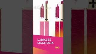 NOVEDAD Colección Maquillaje Magnolia Mercadona [upl. by Trah7]