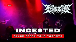 Ingested Crowd Jump Live at The Black Opera Tour Toronto 2024 [upl. by Akinoj323]