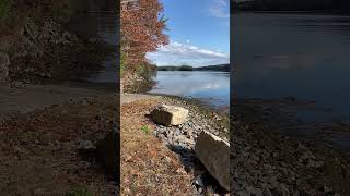 Sheepscotmaineoutdoors bassfishing mainelife fishing nature sportfishing stripedbass shorts [upl. by Leinod245]