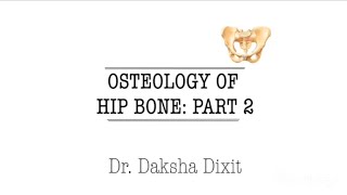 OSTEOLOGY OF HIP BONE PART 2 [upl. by Wane]