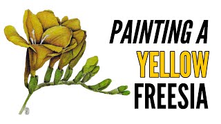 How To Paint A Freesia With Inktense In Yellow [upl. by Merrell203]