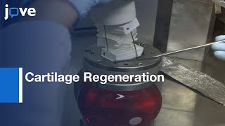 3D Magnetic Stem Cell Aggregation amp Bioreactor MaturationCartilage Regeneration l Protocol Preview [upl. by Ennovihs215]