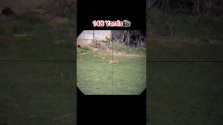 SIDE SHOT📱Iphone Scope Mount  Groundhog 🦫 Hunt  1’st of 2024 [upl. by Aserej]