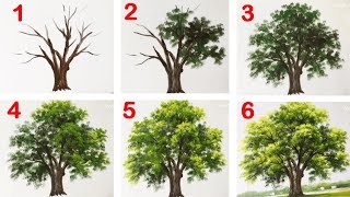 How to Paint a Tree with Acrylic lesson 13 [upl. by Janette]