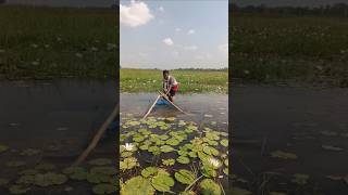 latest match fishing videos 2024 shorts trending [upl. by Sotos]