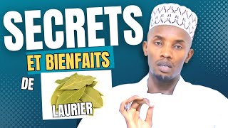 Secrets et bienfaits de Laurier [upl. by Cardie488]