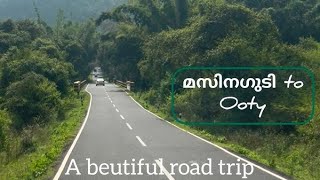 ooty  Ooty Travel  Ooty Trip  കോടമഞ്ഞു മൂടിയ ഊട്ടി  ഊട്ടി യാത്ര  Misty hil ooty mistyvlog [upl. by Haidedej]