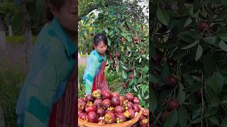 Sweet mangosteen harvest so fresh in beautiful natural farm satisfying harvest fruit fresh [upl. by Wentworth]