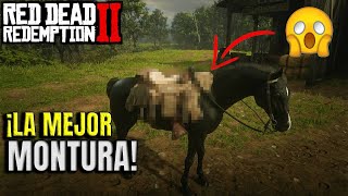 🔥😱La MEJOR MONTURA de RED DEAD REDEMPTION 2 [upl. by Asilanna61]