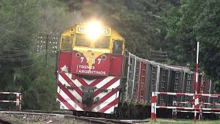 Belgrano Cargas  Tren Nº 5002 con 7757 por Florida [upl. by Mirabelle]