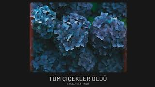 Taladro amp Rash  Tüm Çiçekler Öldü Official Video [upl. by Euqinahc]