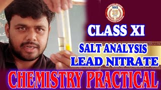 🔥🔥💥 CLASS XI CHEMISTRY PRACTICALS  SALT ANALYSIS  LEAD NITRATE [upl. by Rebmac]