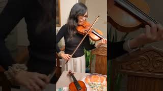 Violin 04No11  Patricia Shih testing Nagyvarys violin 04No11 Part 1 [upl. by Gudrun]