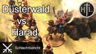 Battlereport  Düsterwald vs Harad Mittelerde Tabletop  Herr der Ringe  HdR  Hobbit [upl. by Roux]