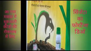 adSyngenta  fortenza duo maize seed treatment विज्ञापन सिंजेंटा  फोरटैंजा डुओ fall armyworm [upl. by Anirahs]