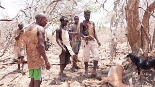 WILD HUNTERs LIFE IN AFRICA HOW HADZABE TRIBE HUNTS WILD ANIMALS IN THE BUSH [upl. by Aun191]