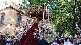 Virgen de la Candelaria en la Porvera Magna Mariana Jerez 2024 [upl. by Narhet]