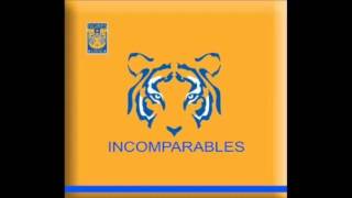 Leandro Ríos  Señores Soy De Tigres [upl. by Hsakaa]